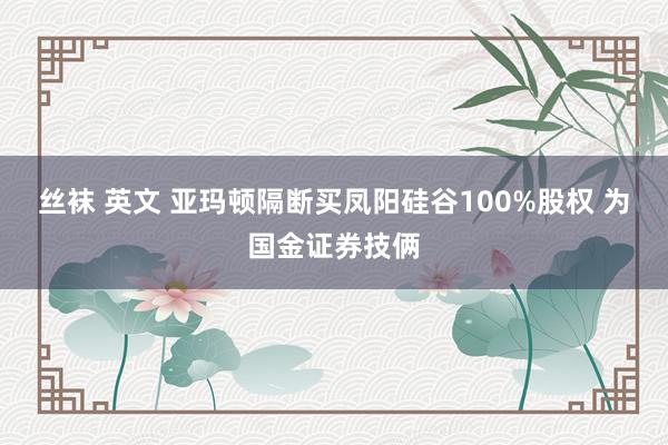 丝袜 英文 亚玛顿隔断买凤阳硅谷100%股权 为国金证券技俩