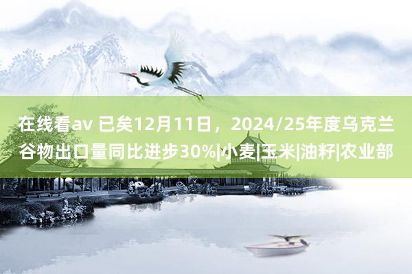 在线看av 已矣12月11日，2024/25年度乌克兰谷物出口量同比进步30%|小麦|玉米|油籽|农业部